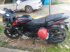 Pulsar DD